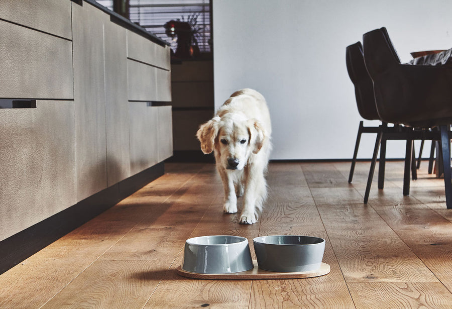 Dog bowl set Doppio pine / blue - gray made of porcelain in Scandinavian design