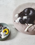 Bosco "Sanglier" jouet pour chien naturel