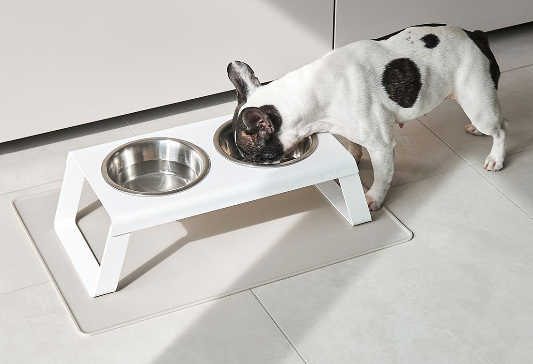 Tova dog bowl mat slate / light gray made of food grade silicone (LFGB standard)