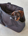 Dog carrier bag Sporta asphalt / gray with many smart details
