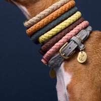 Dog collar Ravello Taupe / light grey