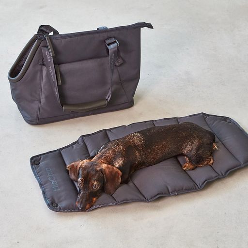Dog carrier bag Sporta asphalt / gray with many smart details